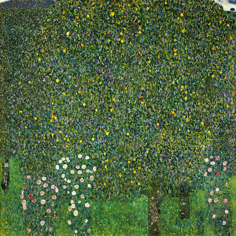 Rose sotto gli alberi a Gustav Klimt