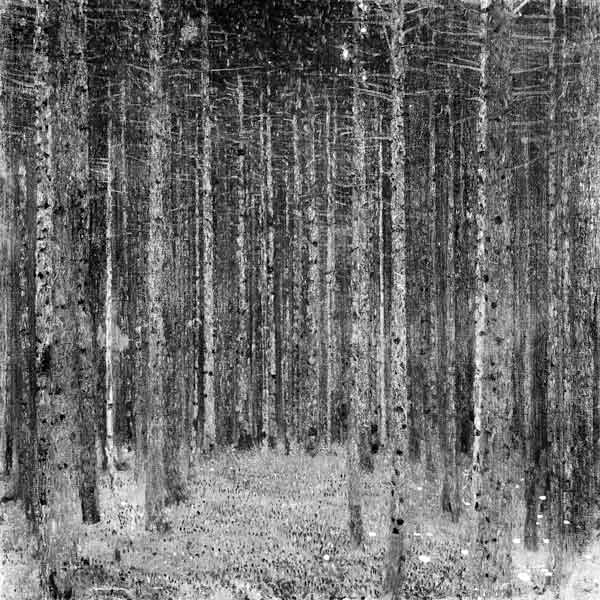 Foresta di abete a Gustav Klimt