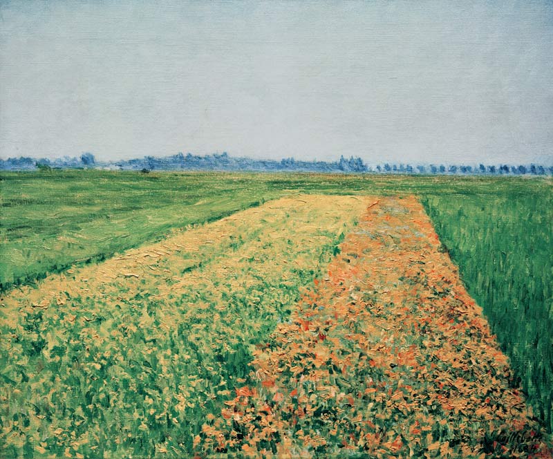 Fields at Gennevilliers a Gustave Caillebotte
