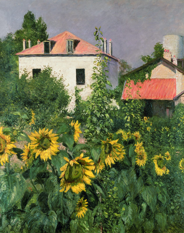 Sunflowers in the Garden at Petit Gennevilliers a Gustave Caillebotte