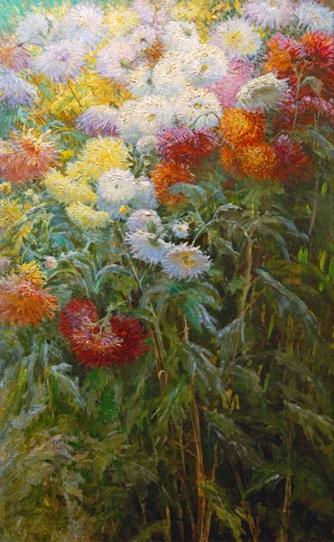 Chrysanthemums a Gustave Caillebotte