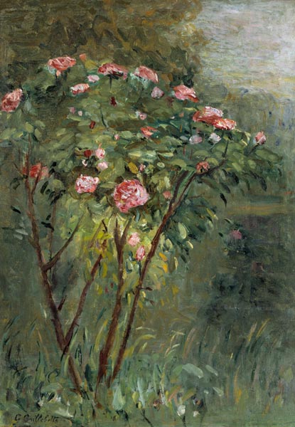 Le Rosier, c.1884-86. a Gustave Caillebotte