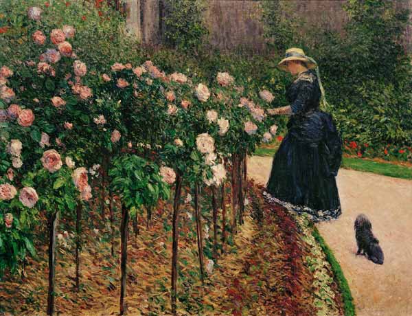 Roses in the Garden at Petit Gennevilliers a Gustave Caillebotte