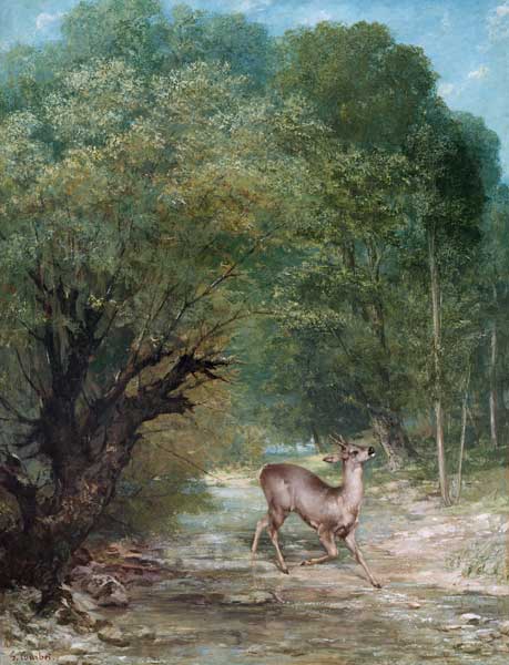 Deer sniffing the air a Gustave Courbet