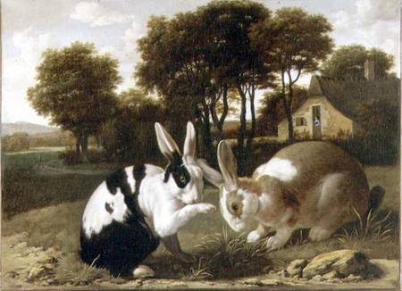 Two Rabbits in a Landscape a Haarlem School