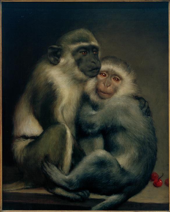 Abelard und Héloise a Haeckel Ernst