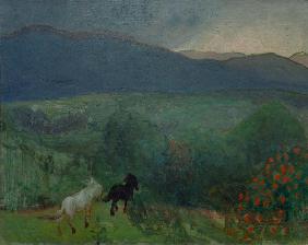 Approaching Storm, Telemark