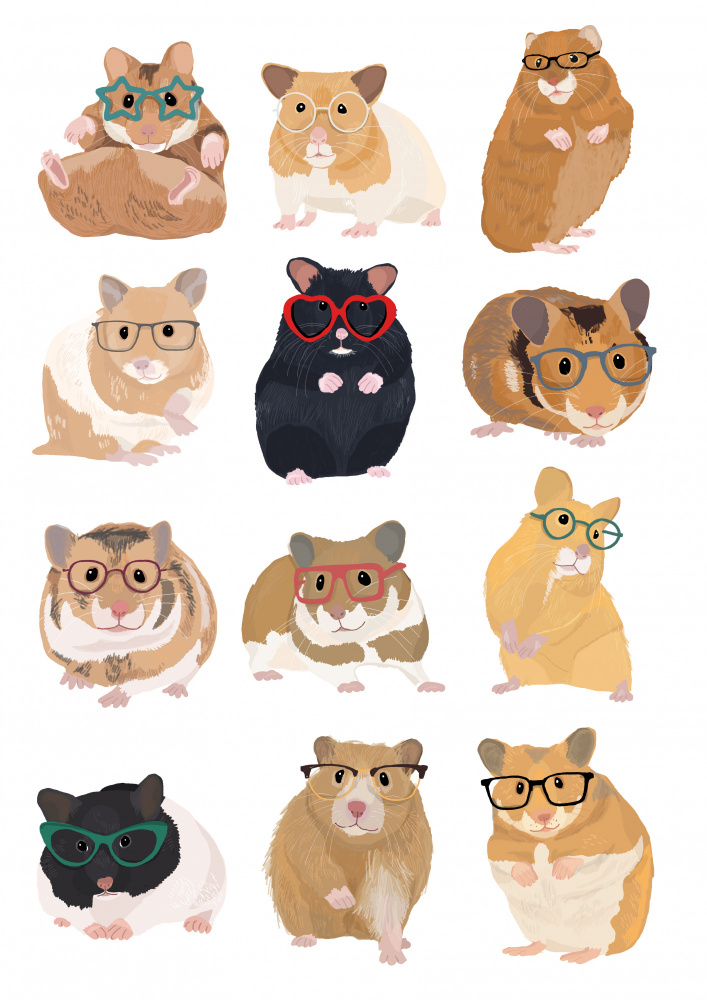 A1 Hamsters In Glasses a Hanna Melin