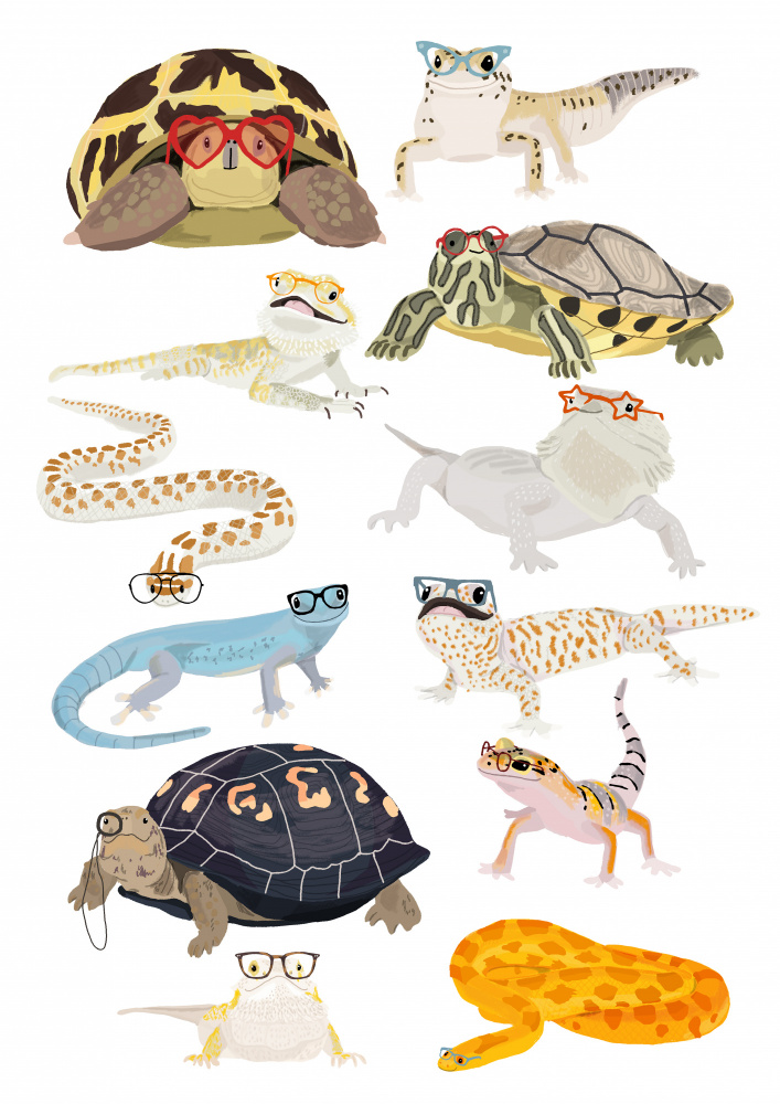 A1 Reptiles In Glasses a Hanna Melin