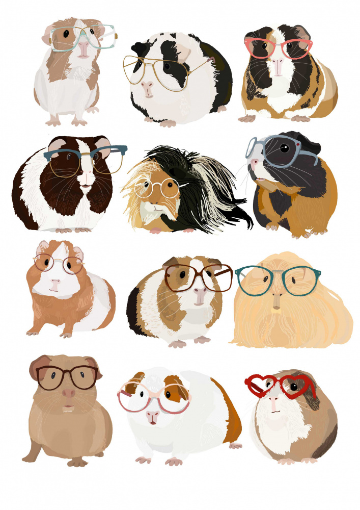 Guinea Pig in Glasses a Hanna Melin