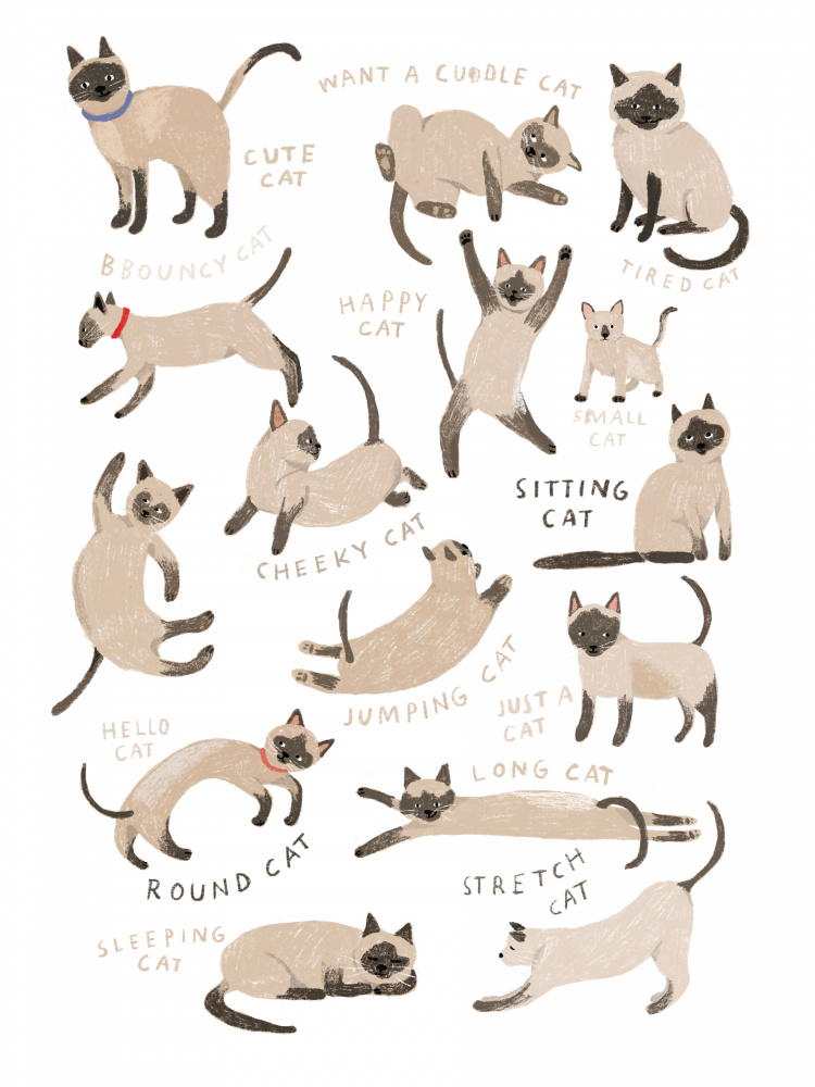 Siamese Cat Print a Hanna Melin