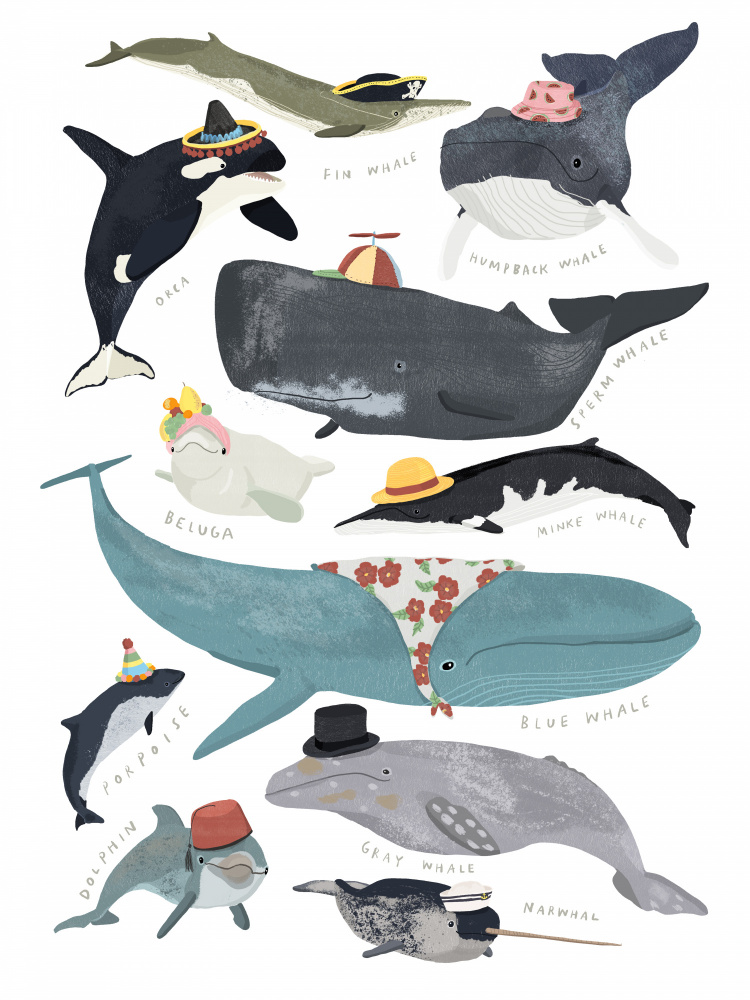 Whales In Hats a Hanna Melin