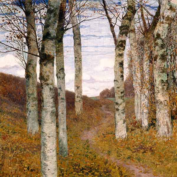 Betulle in autunno a Hans am Ende
