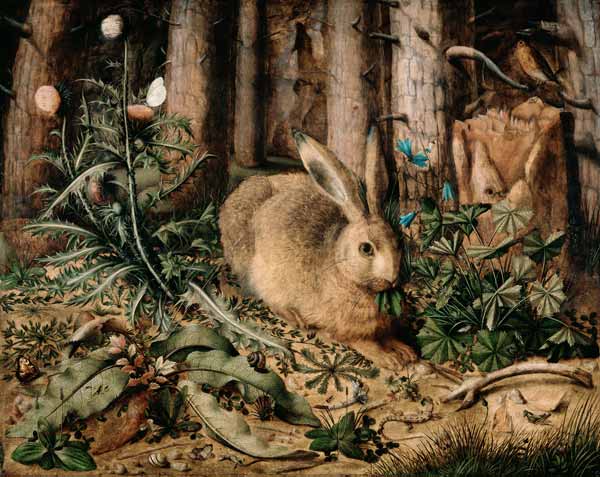 A Hare in the Forest a Hans Hoffmann