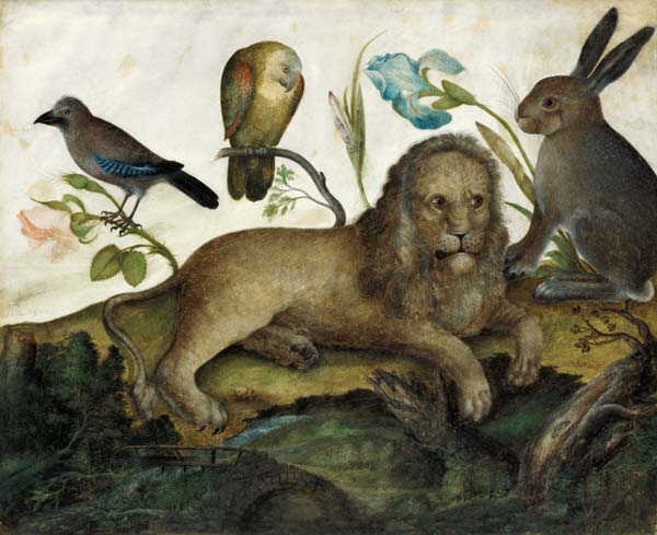 Animal picture (lion) a Hans Hoffmann