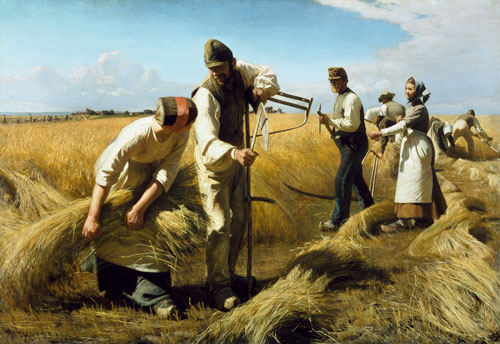The grain harvest a Hans Ole Brasen