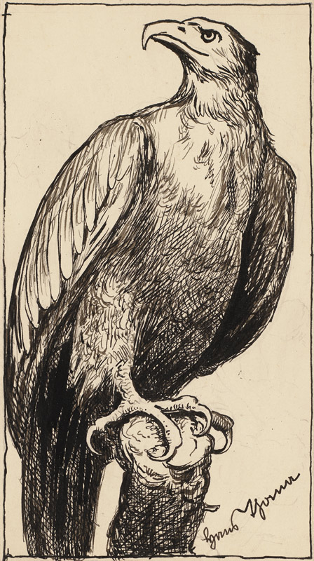 Zeichnung zur Fibel: Adler a Hans Thoma