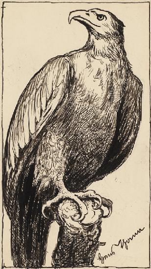 Zeichnung zur Fibel: Adler