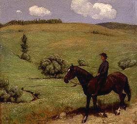 Rider in a wide landscape.