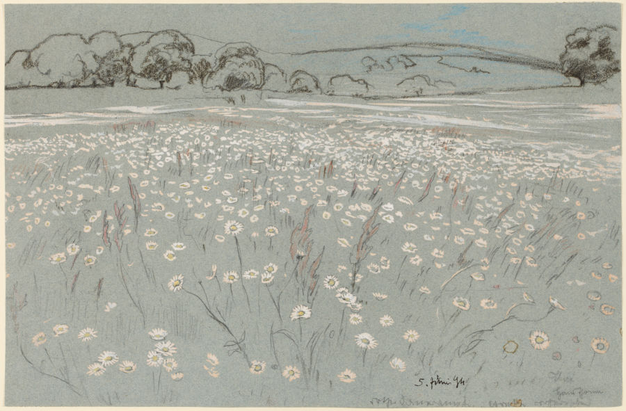 Meadow with Daisys a Hans Thoma