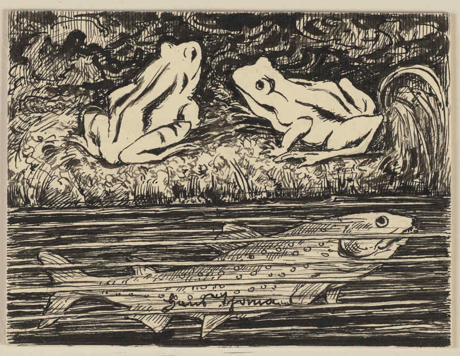 Zeichnung zur Fibel: Frosch a Hans Thoma