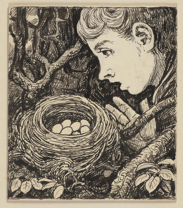 Zeichnung zur Fibel: Nest a Hans Thoma