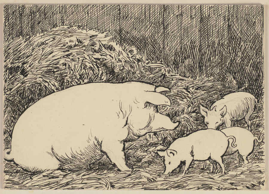 Zeichnung zur Fibel: Schwein a Hans Thoma