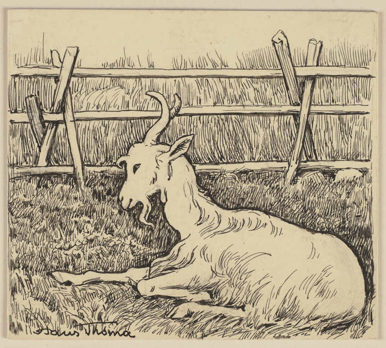 Zeichnung zur Fibel: Ziege a Hans Thoma