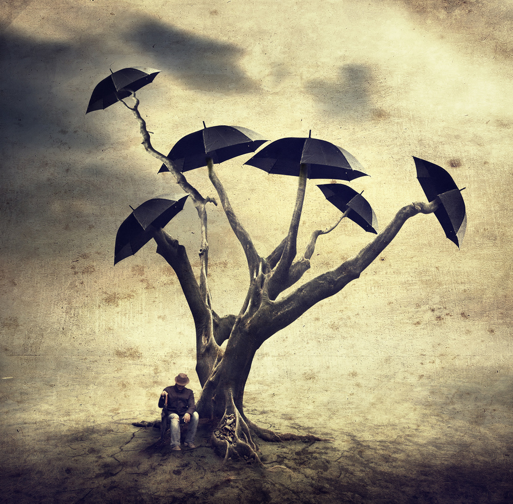 Waiting man and the umbrella tree a Hari Sulistiawan