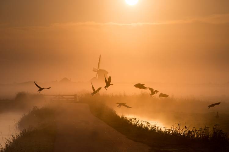 Sunrise Flight a Harm Klaverdijk
