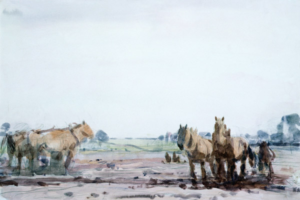 Plough Horses a Harry Becker
