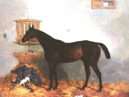 Thoroughbred in a Stable a Harry Hall