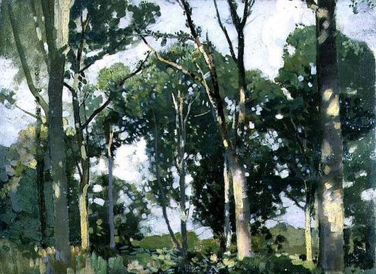 Trees in sunlight (panel) a Harry Watson