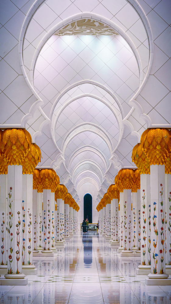 Abu Dhabi / Sheikh Zayed Mosque 3 a Hasan Dimdik