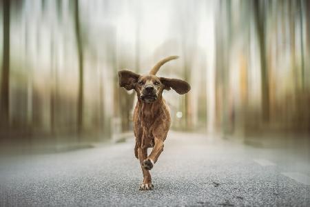 Dancing in the Streets