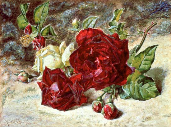 One White and Two Red Roses and Buds a Helen Cordelia Coleman Angell