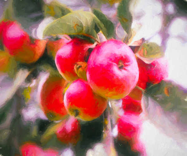 Fruit of Life a Helen White