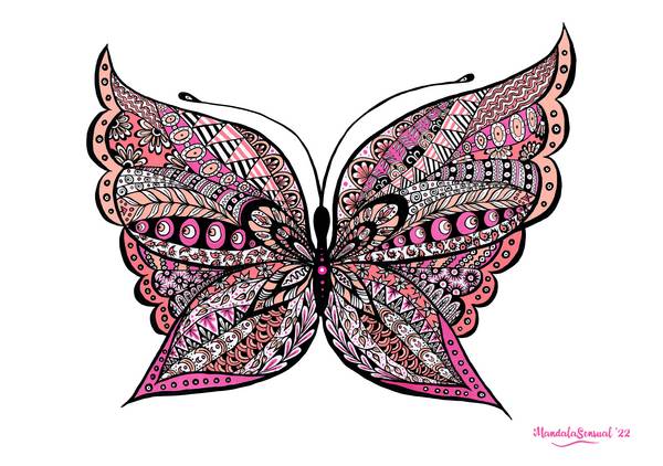 Butterfly a Helena Schall