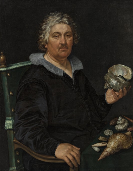 Portrait of the Haarlem Shell Collector Jan Govertsen van der Aer a Hendrick Goltzius