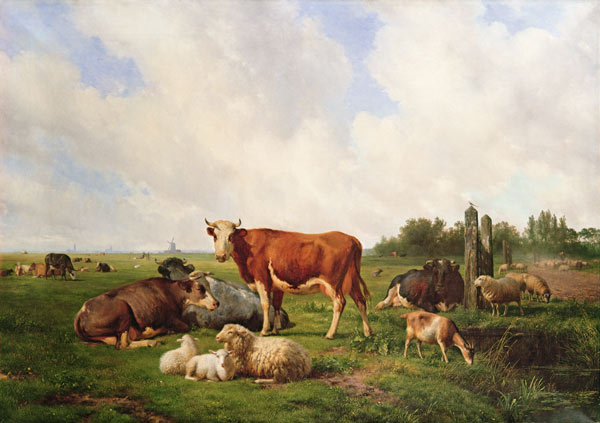 Sheep and Cattle in a Field a Hendrick van de Sande Bakhuyzen
