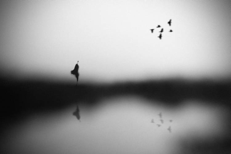 Coscienza a Hengki Lee