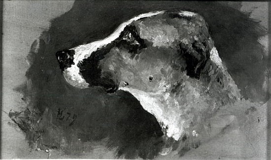 Head of a Dog with Short Ears a Henri de Toulouse-Lautrec