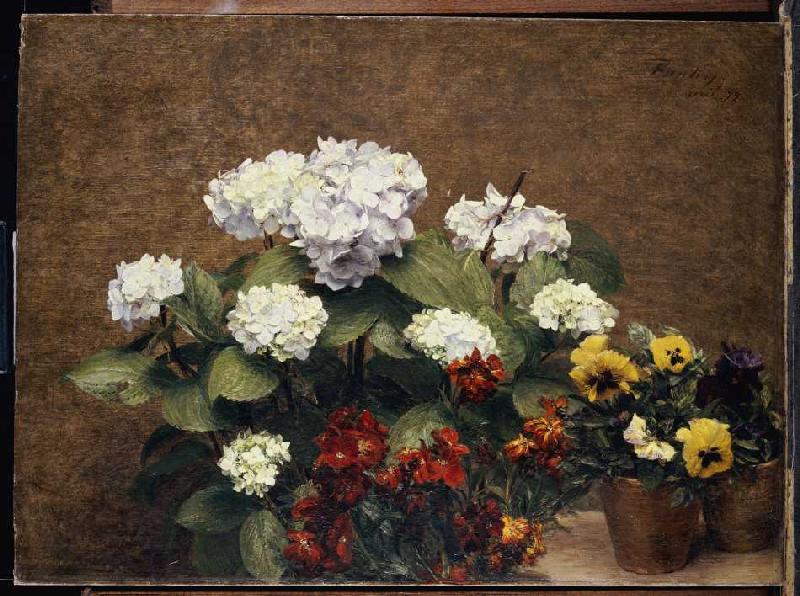 Quiet life with Hortensien and pansy a Henri Fantin-Latour