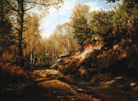 Pines and Birch Trees or, The Forest of Fontainebleau a Henri Joseph Constant Dutilleux