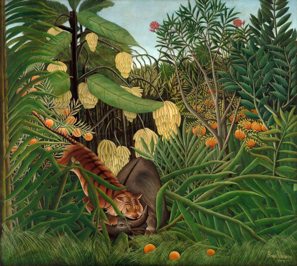 Fight between a Tiger and a Buffalo a Henri Julien-Félix Rousseau