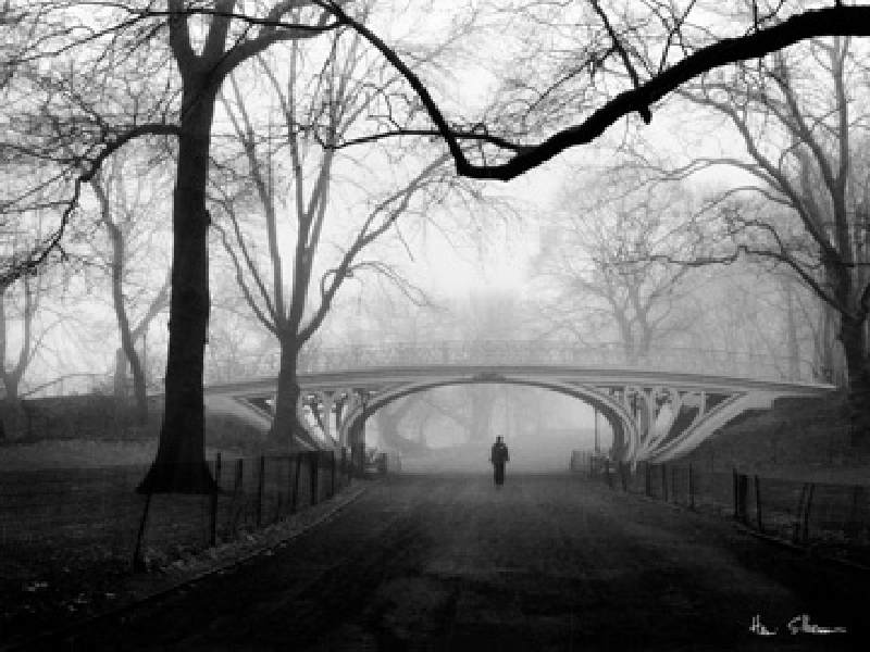 Gothic Bridge, Central Park NYC a Henri Silberman