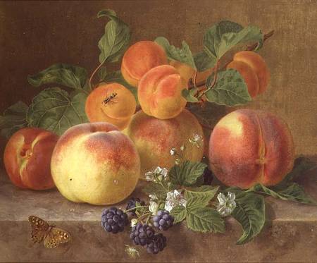 Still Life of Peaches a Henrietta Ronner-Knip