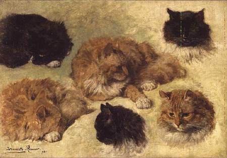 Studies of Cats a Henrietta Ronner-Knip