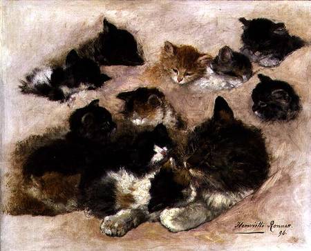 Study of cats and kittens a Henrietta Ronner-Knip