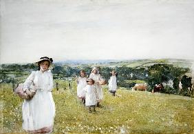 The Picnic